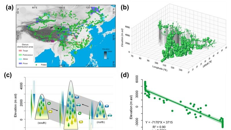 ��ҳ|ng������Ϸ�й����Źٷ���վ