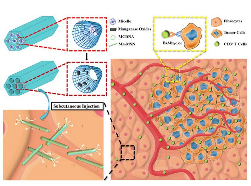 02CC785BDCBD875A763F4AC57DD_C2F2C793_1644C 02CC785BDCBD875A763F4AC57DD_C2F2C793_1644C
