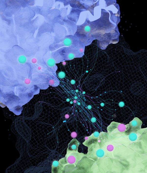 83C7C9985381574D16E22759541_75263080_15437 83C7C9985381574D16E22759541_75263080_15437