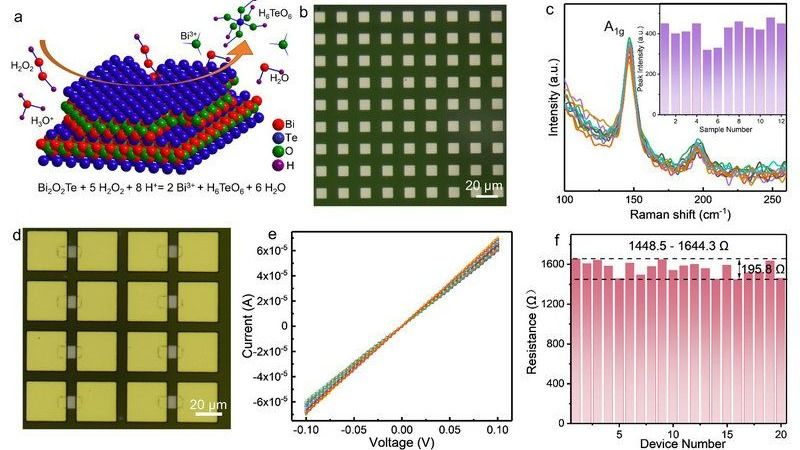 ��ҳ|ng������Ϸ�й����Źٷ���վ