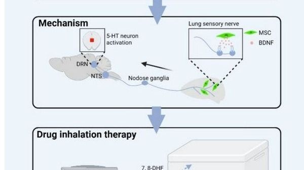 ��ҳ|ng������Ϸ�й����Źٷ���վ