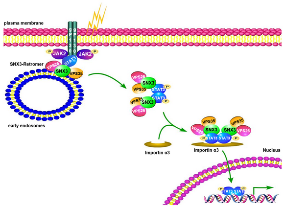 ��ҳ|ng������Ϸ�й����Źٷ���վ