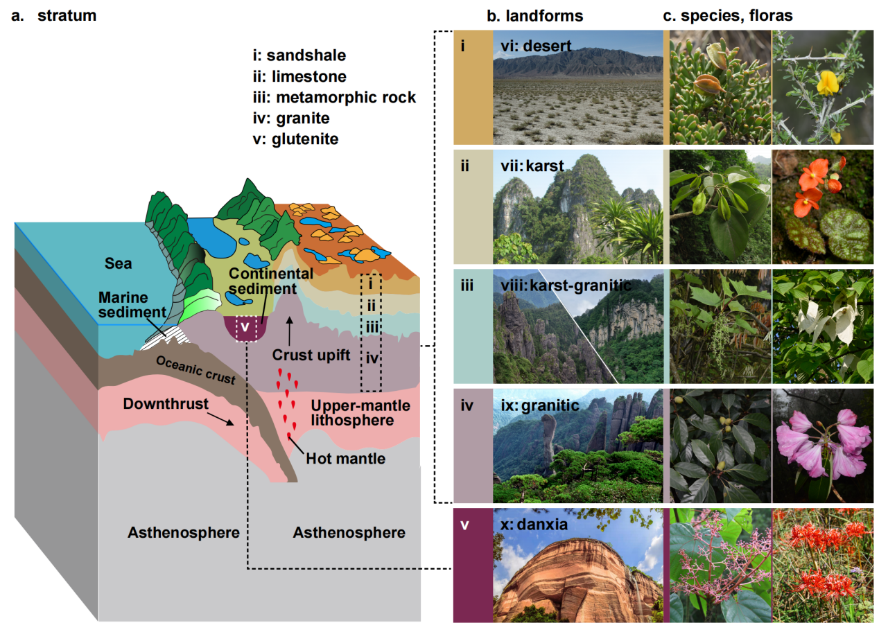 2CB35A2DABD80123FD2152CEF2E_88227888_177E1F