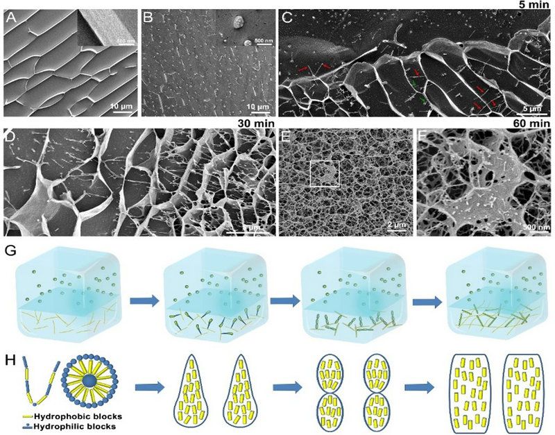 1FC38EC9B58A6997F05081F6684_C2FD53FF_20934 1FC38EC9B58A6997F05081F6684_C2FD53FF_20934