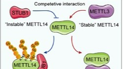 ��ҳ|ng������Ϸ�й����Źٷ���վ