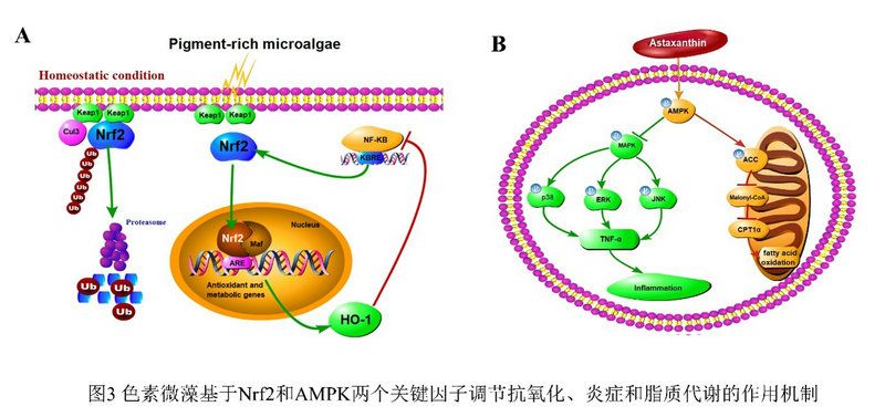 740266ED77AB99DF7C71AE8262A_827A69A2_ED58