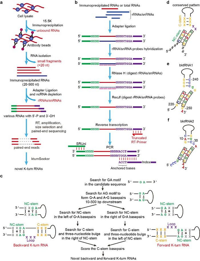 7C37D6F52E9C237505DCE88EBA8_90FE467B_1D65A