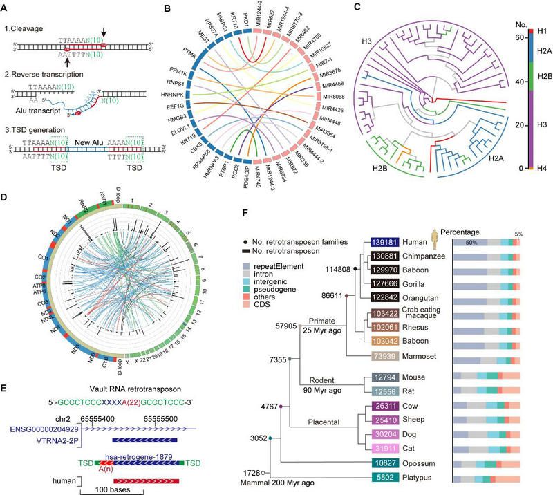 BCA7393C5147082DC89EAC0A620_AB1D31F6_1BE56