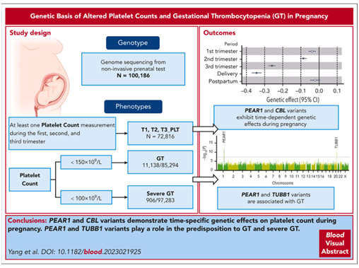11995C53B15D45DFC29FA786F70_148B741F_211F2