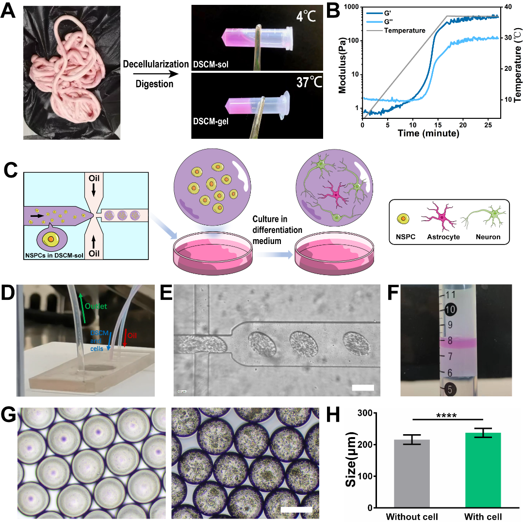C0CDF02E45265C9375E2B599C9B_414C0F13_115DB9