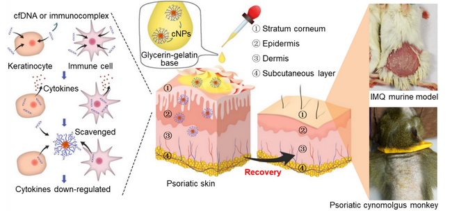 09D058D65C9930F92C2F612B3D2_ADF150FE_3AACB.png?e= Ê×Ò³|ngµç×ÓÓÎÏ·Öйú¼¯ÍŹٷ½ÍøÕ¾