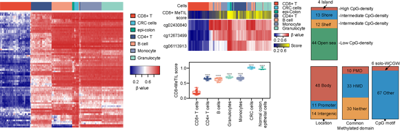 ��ҳ|ng������Ϸ�й����Źٷ���վ