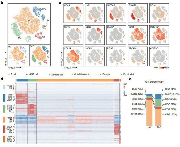 2CF57A8A4052C0C9EDD7C97E196_21D3F1B6_EAF8 2CF57A8A4052C0C9EDD7C97E196_21D3F1B6_EAF8