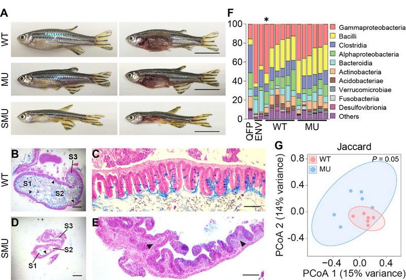 DC737EC17BCD7B8052FE5C0B3AA_B3DE16AF_196DD