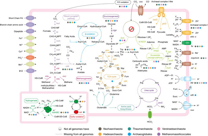 ��ҳ|ng������Ϸ�й����Źٷ���վ