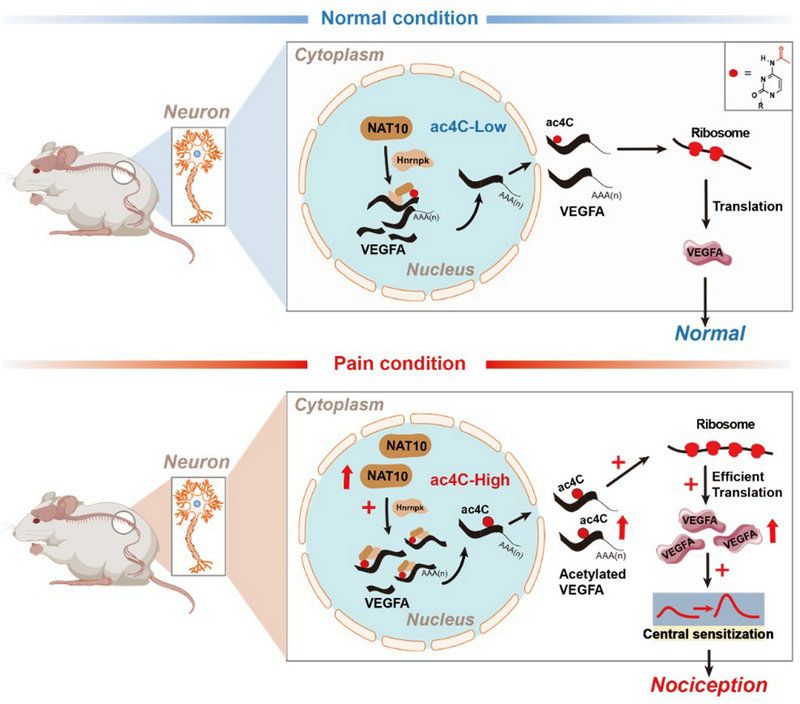 989C01CAC3CF93AFCD9D42468C8_B77F51A9_12E1A