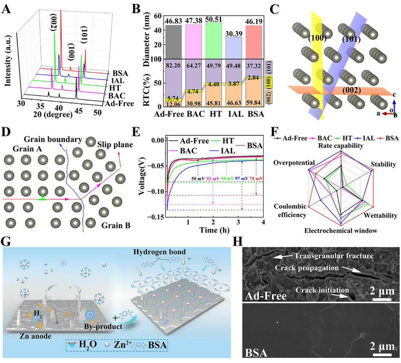 5A664D660447B718171C5393BCF_BBD2B364_1CFB4
