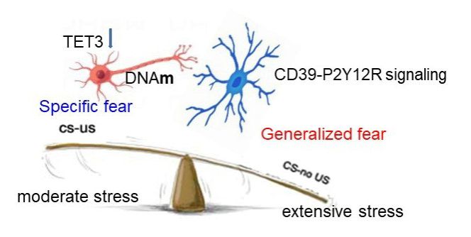 6A1275B2878B5AEFC15123910DB_8B344932_681E