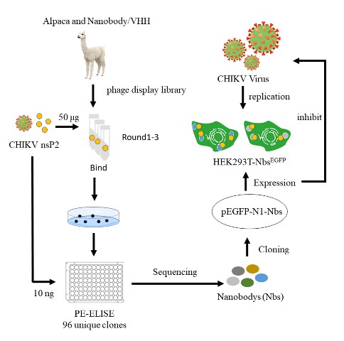 B83A9DF13F4900FE46C43212BA2_E3EC9B16_9B8F B83A9DF13F4900FE46C43212BA2_E3EC9B16_9B8F