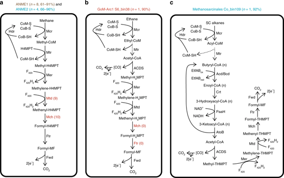 ��ҳ|ng������Ϸ�й����Źٷ���վ