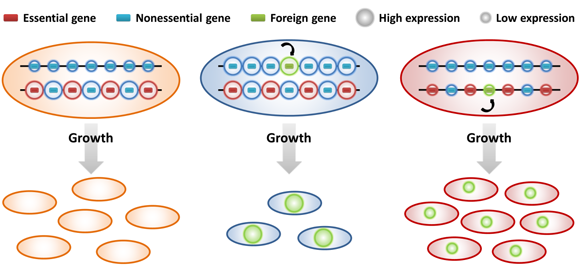 ��ҳ|ng������Ϸ�й����Źٷ���վ