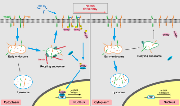 ��ҳ|ng������Ϸ�й����Źٷ���վ