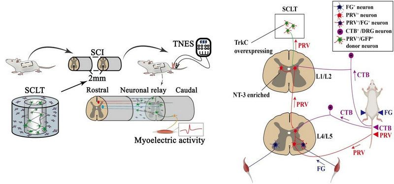 A9A9CB9CC5A60C2200A94FFDC03_1F8CF675_BB76 A9A9CB9CC5A60C2200A94FFDC03_1F8CF675_BB76