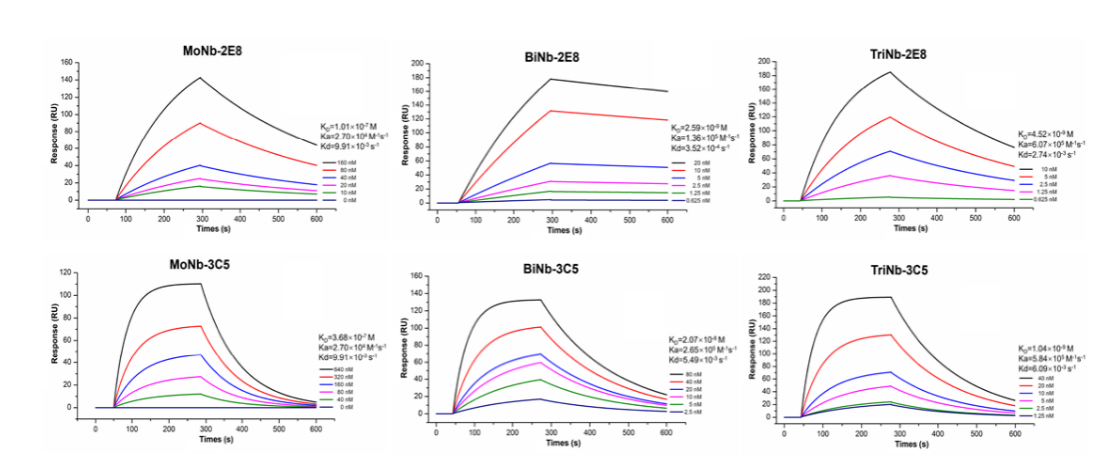 19E2514FB0741373D278473925C_989ED993_2C5A3