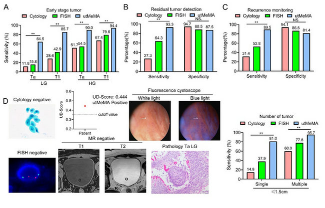 ��ҳ|ng������Ϸ�й����Źٷ���վ
