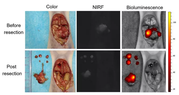 ��ҳ|ng������Ϸ�й����Źٷ���վ