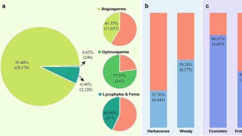 ��ҳ|ng������Ϸ�й����Źٷ���վ