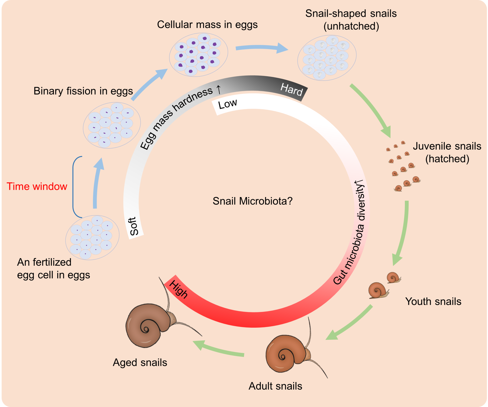 7D5A23F7F351FC59934EE6F6556_AA689331_85AD0