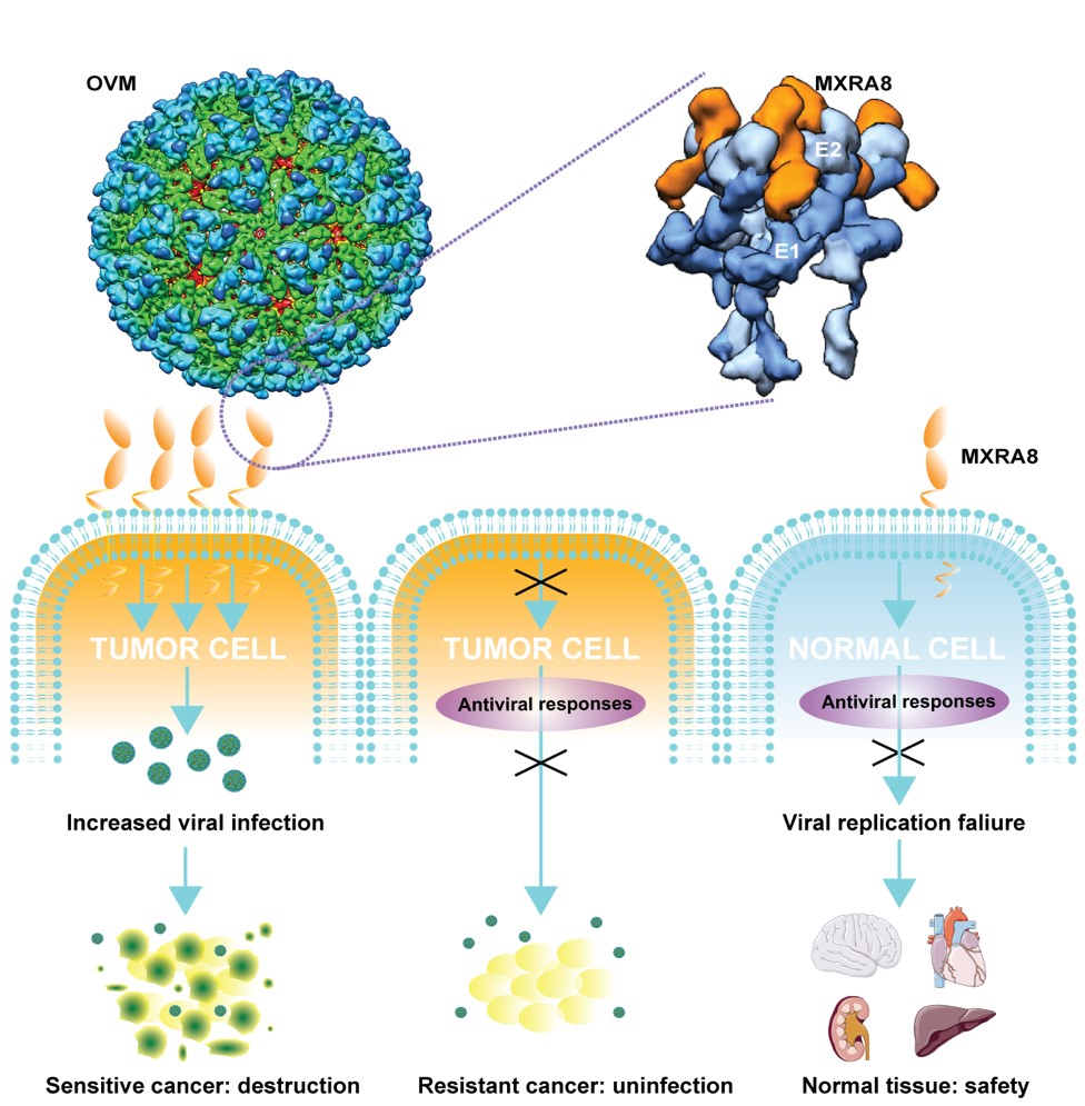 ��ҳ|ng������Ϸ�й����Źٷ���վ