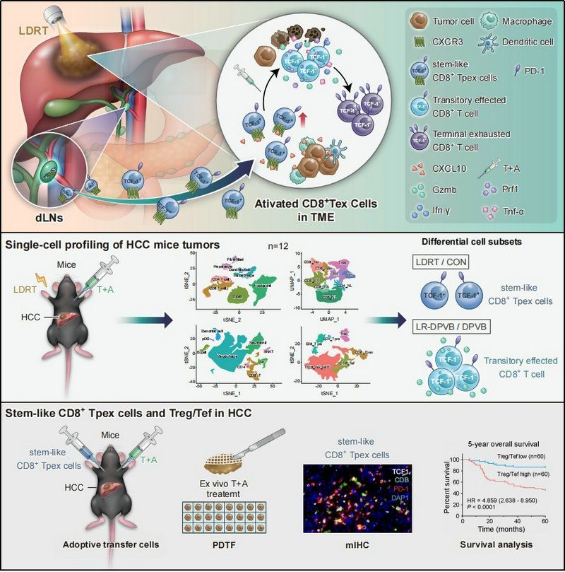 27B29CD53DCD7E9F37F6AEA074D_F44184B7_1FF6E