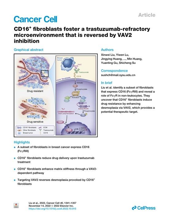 0C90B001F3532D24A65304A3534_69C432D7_F1A2