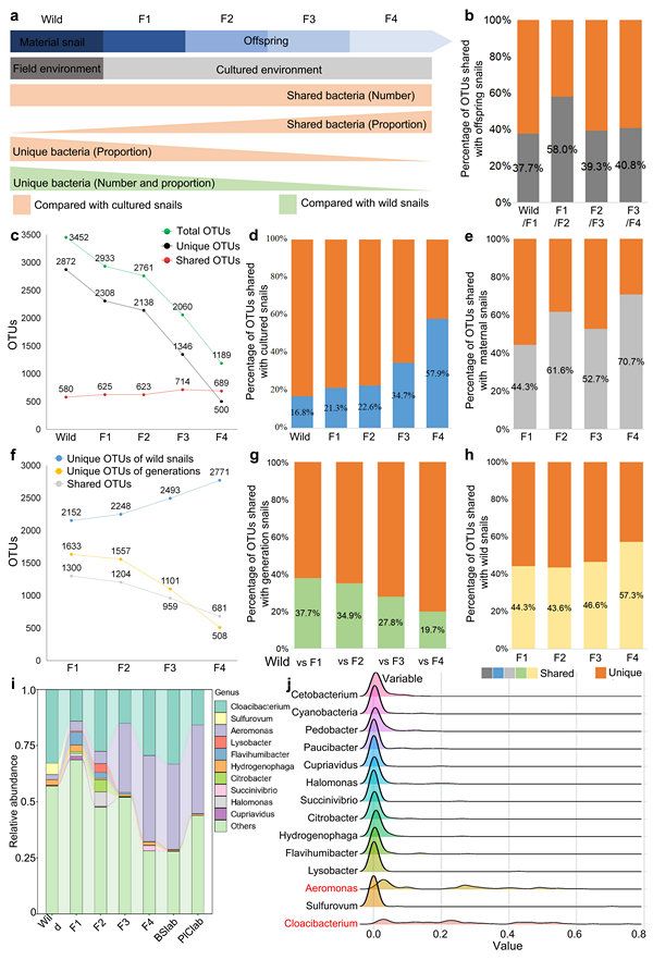 662F736812A47E96EBAAFCA8F90_77765C33_1BD2C