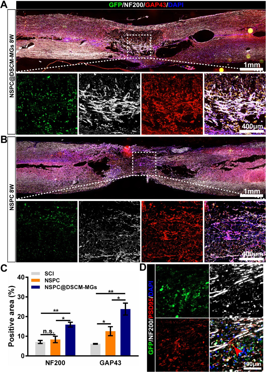 9E74A1E1FB2951F8ABF0EB42573_65C21692_22EDC0