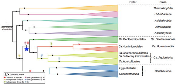 ��ҳ|ng������Ϸ�й����Źٷ���վ