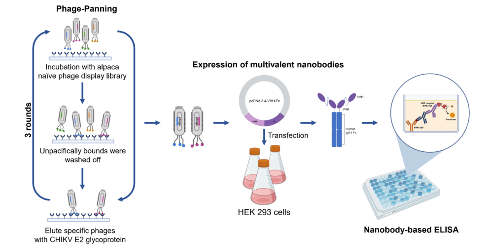 ��ҳ|ng������Ϸ�й����Źٷ���վ