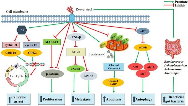 ��ҳ|ng������Ϸ�й����Źٷ���վ