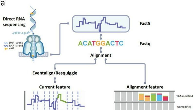 ��ҳ|ng������Ϸ�й����Źٷ���վ