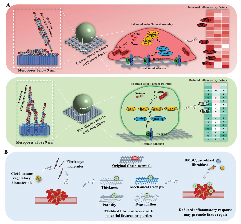 ��ҳ|ng������Ϸ�й����Źٷ���վ