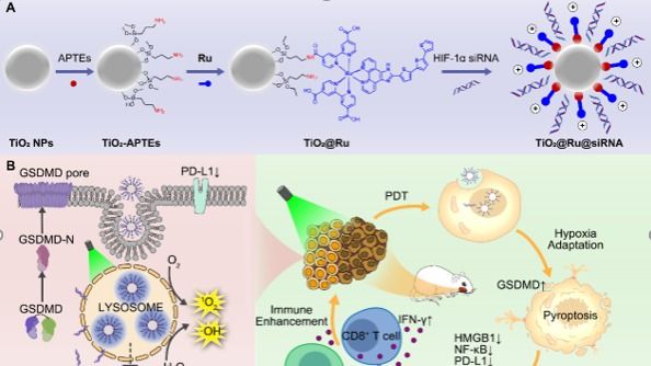 ��ҳ|ng������Ϸ�й����Źٷ���վ