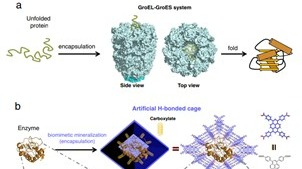 ��ҳ|ng������Ϸ�й����Źٷ���վ