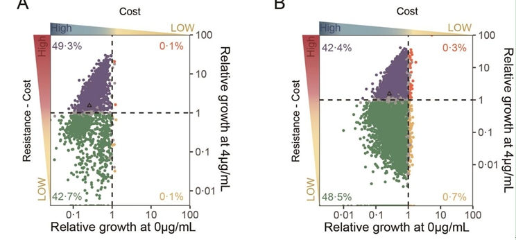 6C6A0EC8FCA4340AB699F52D78C_A0468B22_2DEC3