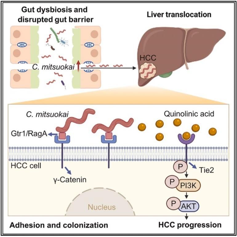 ��ҳ|ng������Ϸ�й����Źٷ���վ