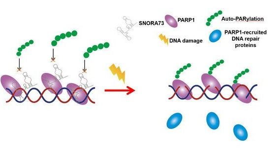��ҳ|ng������Ϸ�й����Źٷ���վ