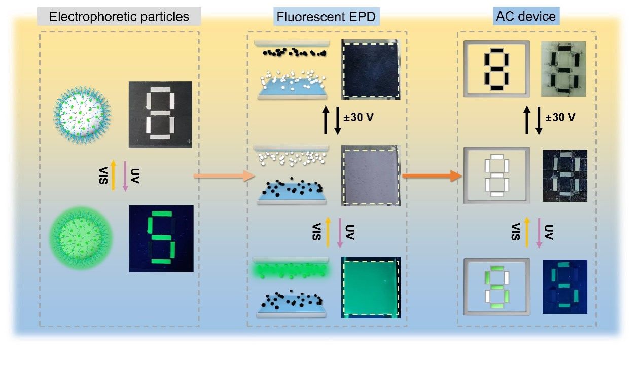 F777C7DF0CBFE7582E64A2B3A56_B5D67081_18FBB