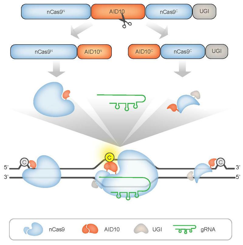 936AA5EF6BDA4DED152D235A7D7_74BD8AE5_DF38