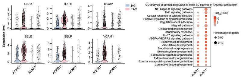 C7DD1532D49D3DD2F697BE81EC7_A3442BBA_BD4A C7DD1532D49D3DD2F697BE81EC7_A3442BBA_BD4A